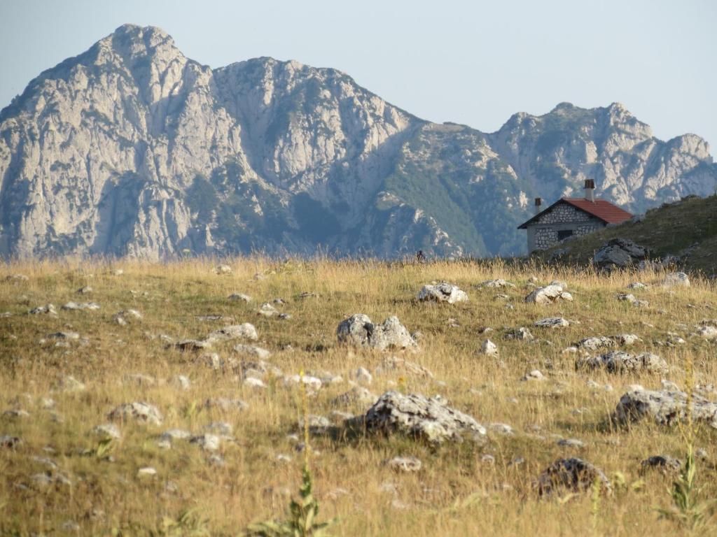 Bio Agriturismo Valle Scannese Villa Скано Екстериор снимка